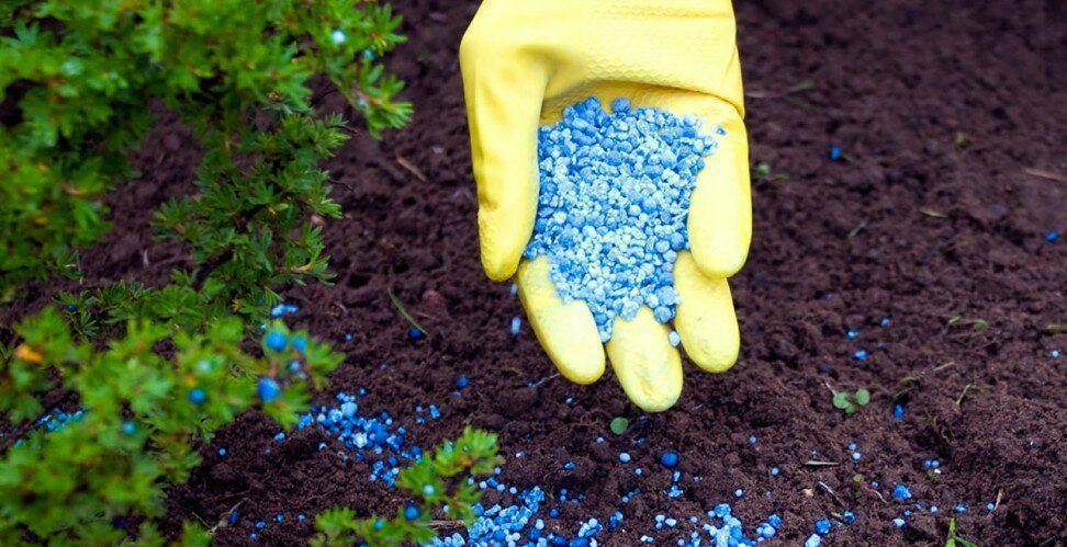 Как разумно использовать удобрения: советы для экономной хозяйки