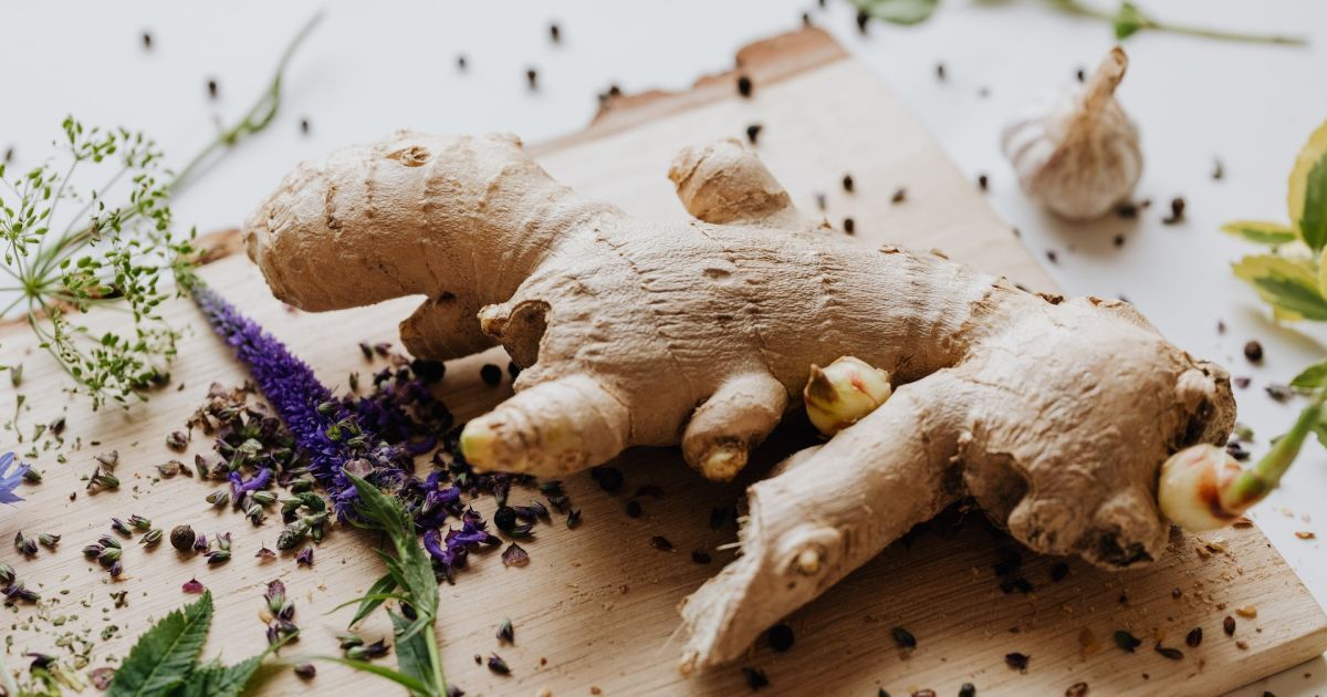 Секреты хранения имбиря: 3 лучших способа сохранить свежесть