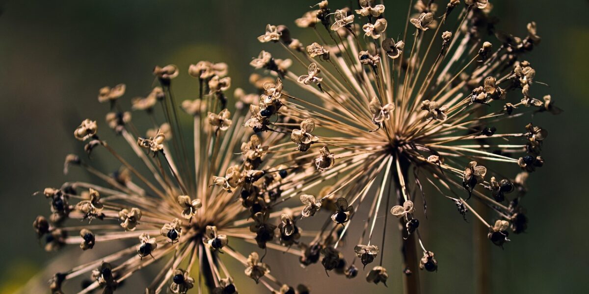 Тренды сезона: как создать идеальный образ