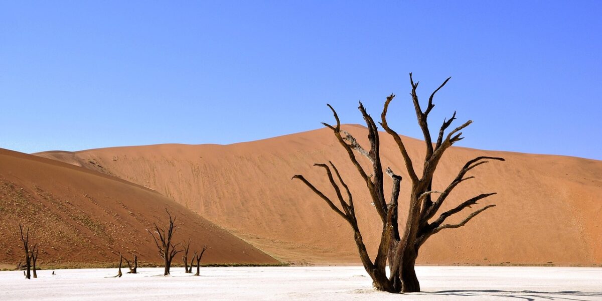 Быстрый ужин: гречка с тушенкой на сковороде – простой рецепт для занятых женщин