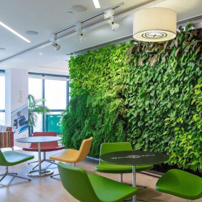 Вертикальное озеленение: модный тренд для создания уютного дома