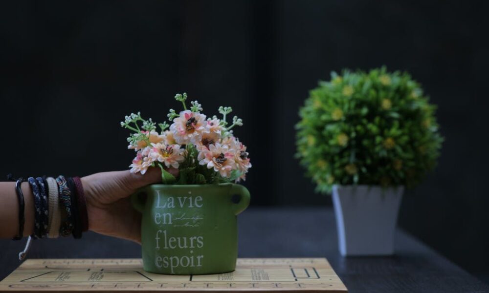 Домашний сад: идеи для обновления интерьера