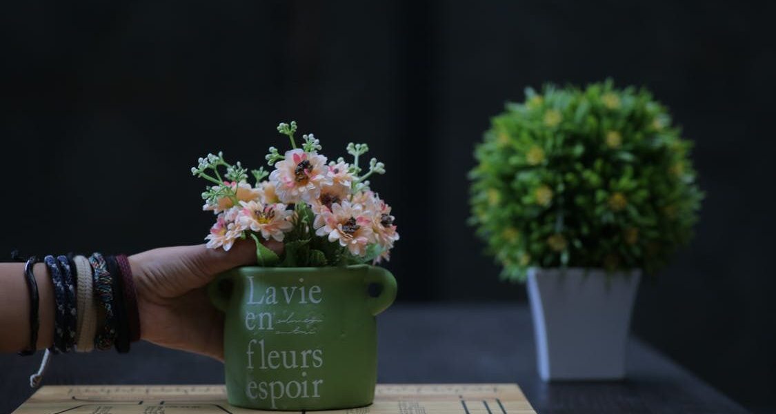 Домашний сад: идеи для обновления интерьера