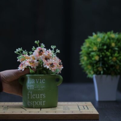 Домашний сад: идеи для обновления интерьера