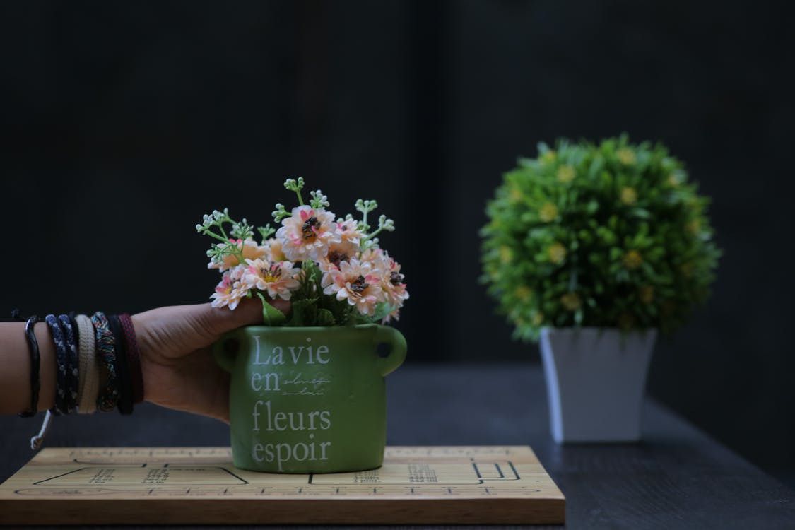 Домашний сад: идеи для обновления интерьера