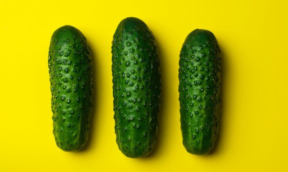 Почему огурцы пустые внутри: секреты опыления и ухода