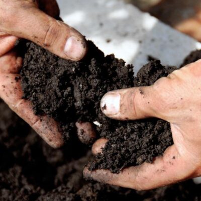 Экоудобрения своими руками: секреты пышного урожая для вашего сада и огорода