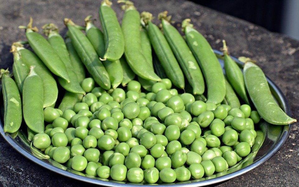 Секреты молодости: домашние маски для лица с горохом, как у звезд