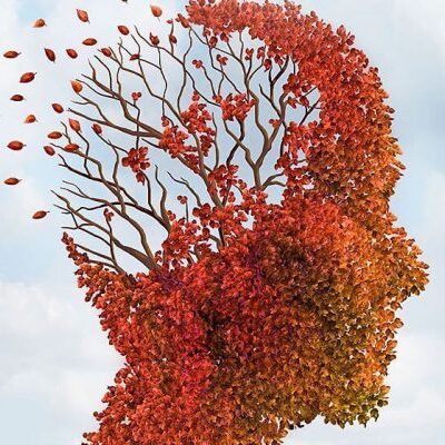 Питание и риск деменции: какие привычки стоит изменить женщинам