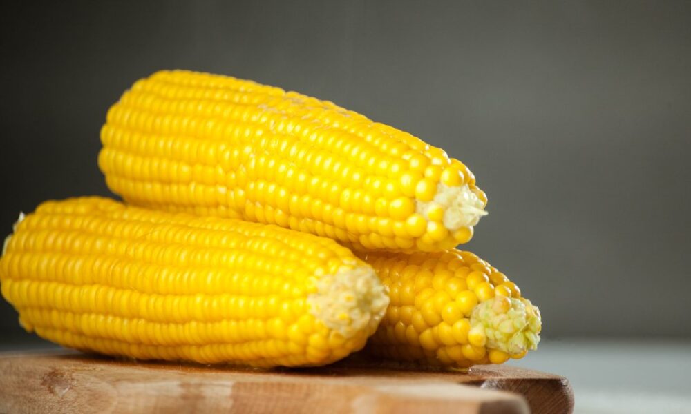Секреты идеальной вареной кукурузы: выбираем, варим и храним лакомство августа