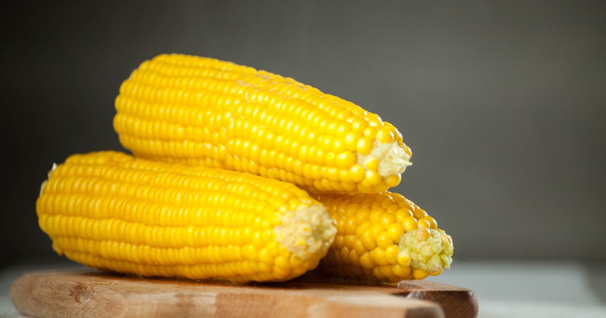 Секреты идеальной вареной кукурузы: выбираем, варим и храним лакомство августа