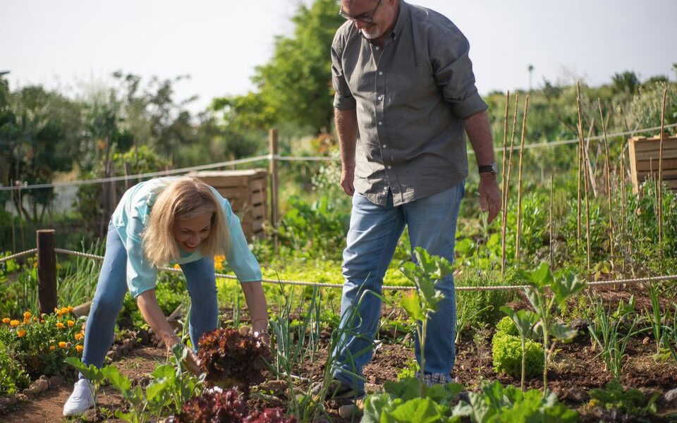 10 проверенных примет для богатого урожая на даче