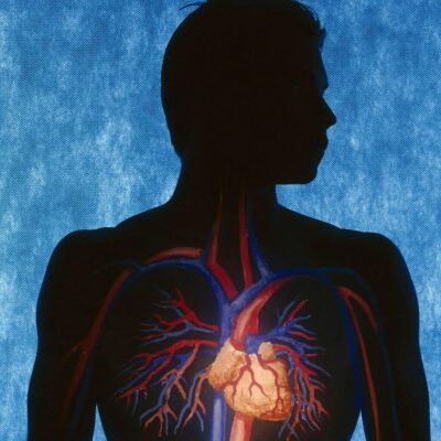 10 советов кардиолога для здорового сердца: как сохранить молодость и энергию