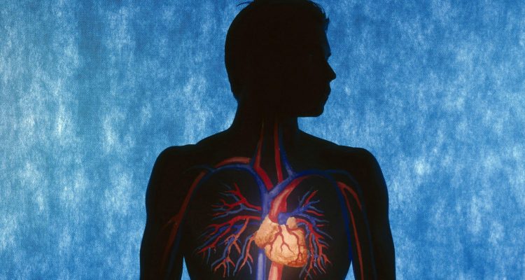 10 советов кардиолога для здорового сердца: как сохранить молодость и энергию