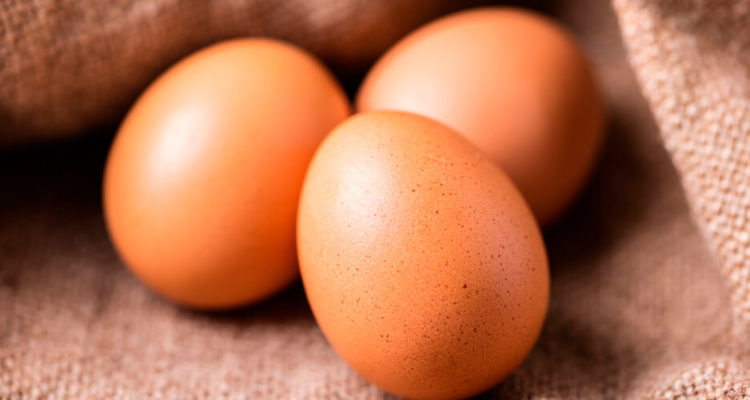Ежедневные яйца: польза для женского здоровья и кому стоит включить их в рацион