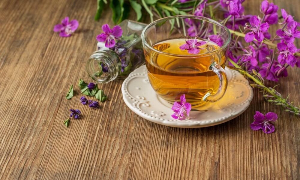 Идеальный чай: секреты ароматного напитка для вашего сада и дома