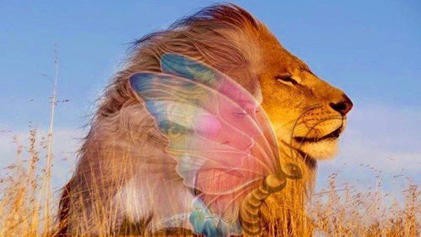 Оптические иллюзии: какой ваш характер, зависит от того, что вы видите