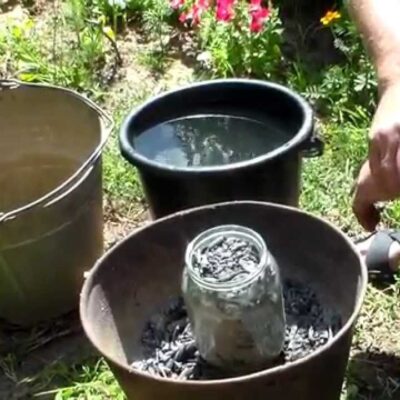 Зола как удобрение: секреты богатого урожая для вашей дачи