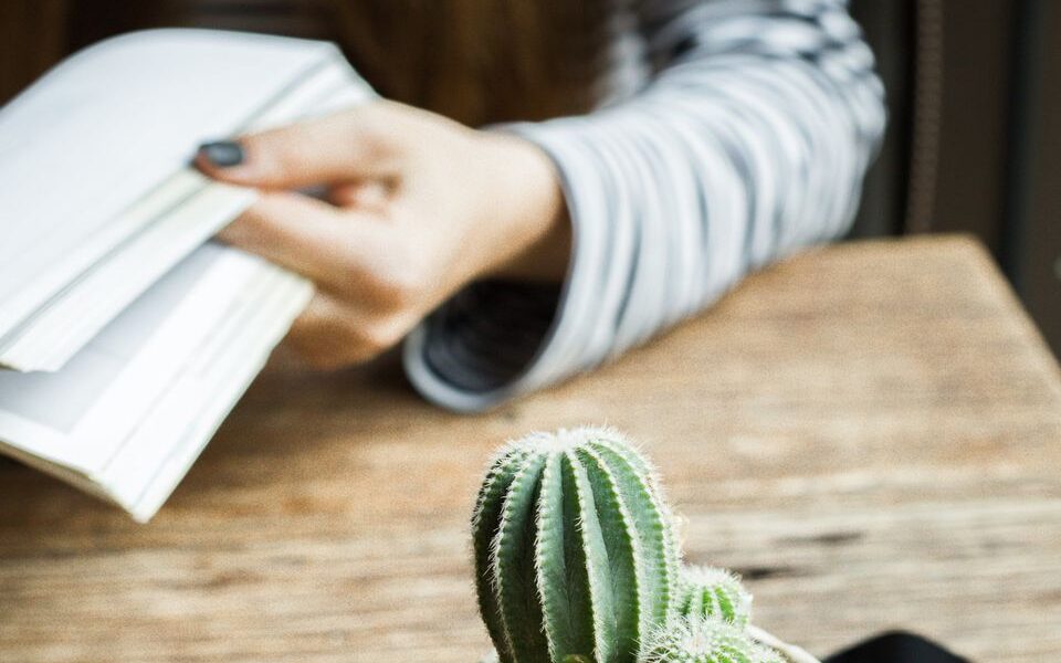 Цветы, которые стоит избегать одиноким женщинам: мнение экспертов