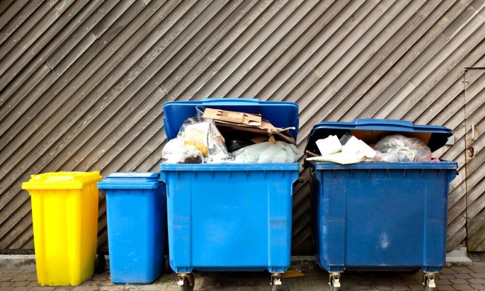 Что нельзя выбрасывать в мусорное ведро: полный список для дома