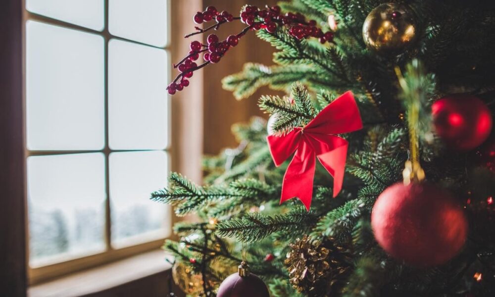 Когда убирать новогоднюю елку: народные приметы, традиции и советы экспертов