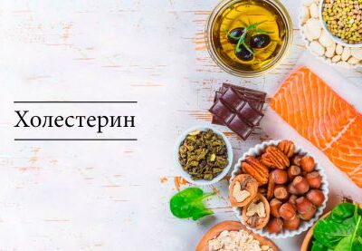 Холестерин: сколько его нужно женщине и как это влияет на здоровье