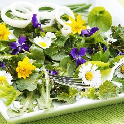 Съедобные цветы: 10 причин добавить их в свой рацион и сад