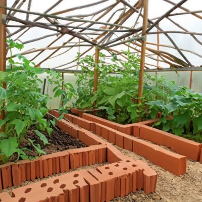 Секреты опытных дачников: зачем класть кирпичи в теплицу осенью