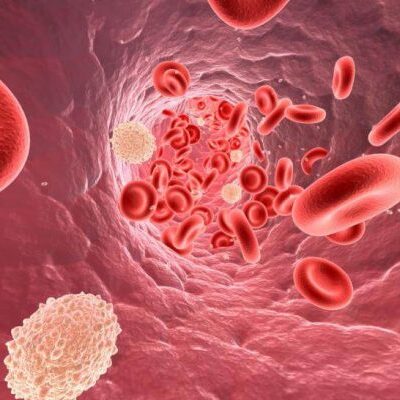 Холестерин и женское здоровье: что нужно знать каждой женщине