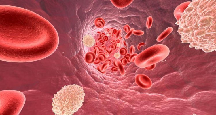 Холестерин и женское здоровье: что нужно знать каждой женщине