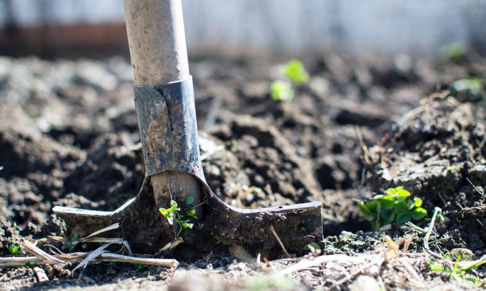 Готовим сад к зиме: как подготовить грядки для весеннего урожая