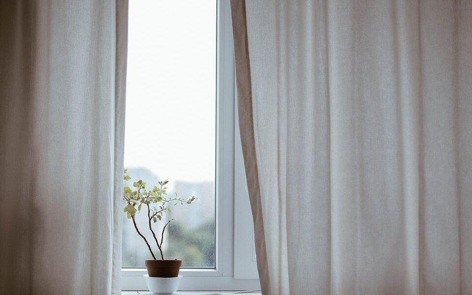 Секреты ухода за комнатными растениями: зачем добавлять спички в горшки