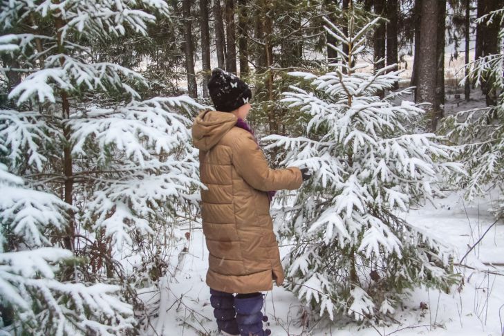 Как согреться зимой: практические советы для дома и улицы