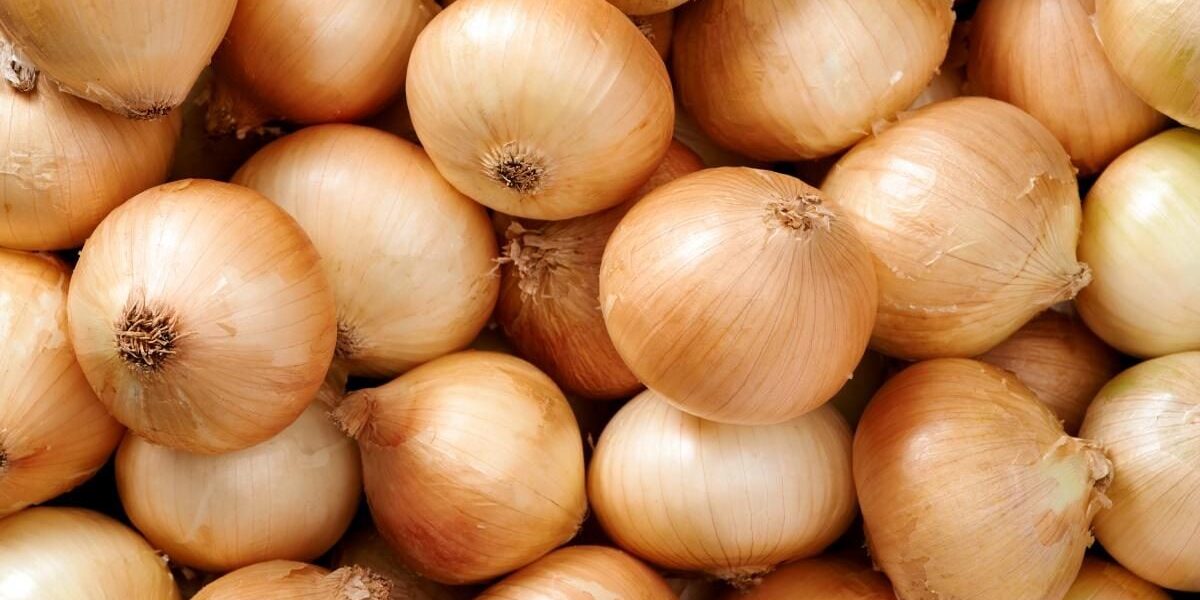 Народные рецепты: лук под подушку для здоровья и крепкого сна