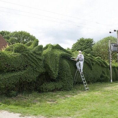 Мечтайте и созидайте: 10 лет труда в саду для воплощения желаний