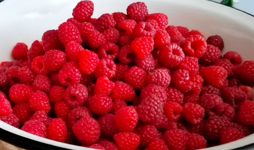 Заморозка ягод на зиму: сохраняем вкус лета в домашних условиях