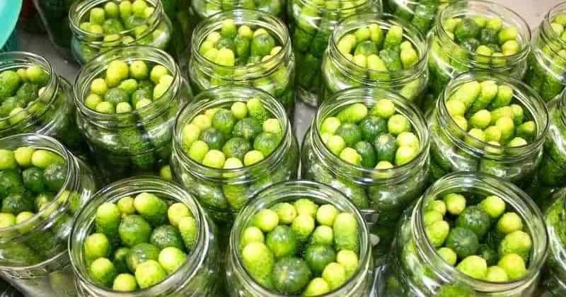 Маринованные огурцы "По-детски": любимый рецепт для всей семьи на каждый день