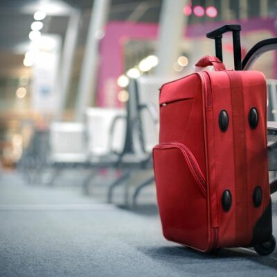 Чек-лист для переезда: готовимся к новой жизни и не забываем о любимых растениях