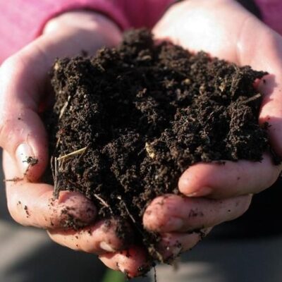 Готовимся к весне: осенние заготовки для рассады, которая украсит ваш дом