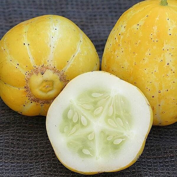 Секреты уюта: необычные идеи для вашего дома