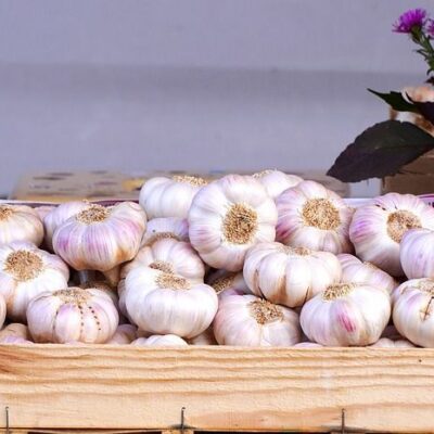Секреты хранения свежего урожая чеснока: просто и надолго