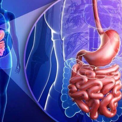 Здоровый кишечник: простые секреты долголетия и женского благополучия
