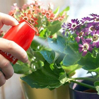 Как избавиться от мошек на комнатных цветах: 10 проверенных народных средств