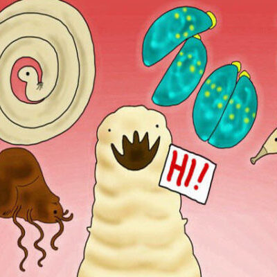 Как распознать глистов: тревожные симптомы, которые нельзя игнорировать