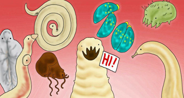 Как распознать глистов: тревожные симптомы, которые нельзя игнорировать