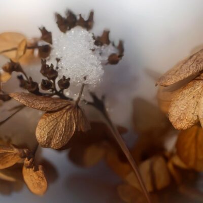 Именины 29 января: поздравляем всех ангелов-хранителей и дарим радость близким