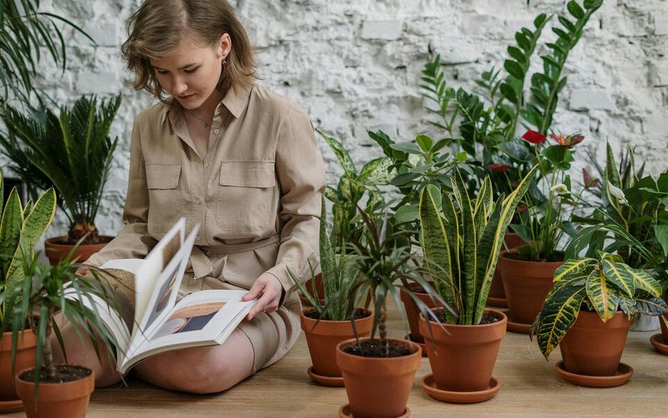 Цветочное общение: как разговоры с растениями ускоряют их рост и цветение