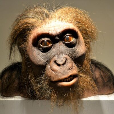 5 признаков устаревших взглядов, которые мешают жить сегодня, и как их преодолеть