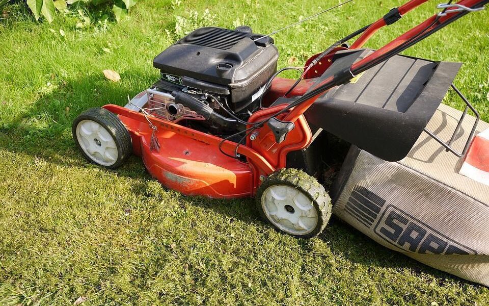 10 секретов идеального газона для ухоженного сада