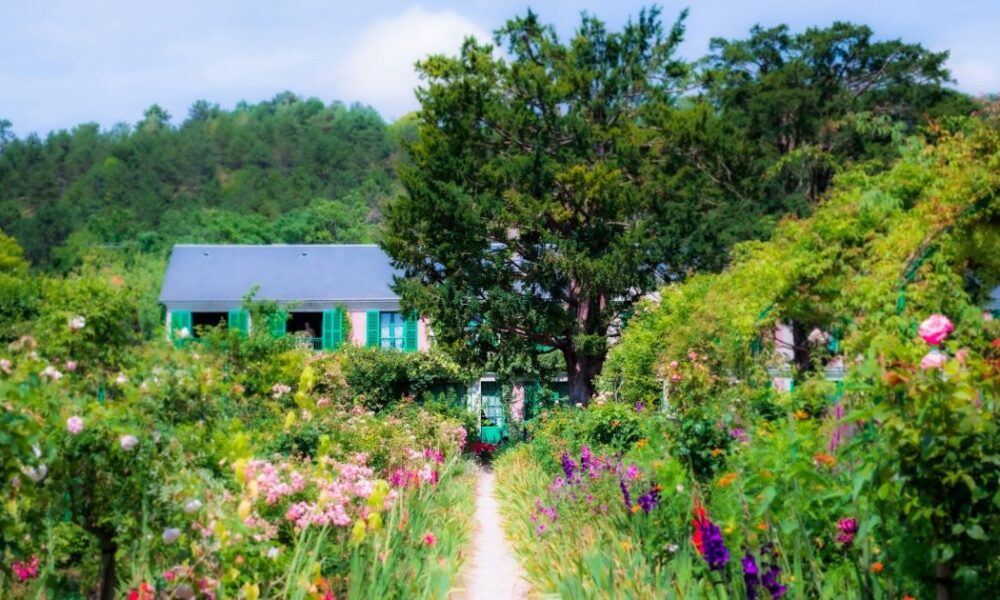 Деревья для дома: три варианта, создающие уют и отпугивающие вредителей